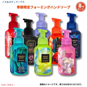 yy݃Zbgz8{tH[~Onh\[v Gߌ̍ Bath & Body Works Foarming Hand Soap@oX&{fB[NX