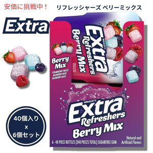 Extra GNXgtbV[Y x[~bNX `[CO 140i6ZbgjRefreshers Berry Mix 40pcs/Bottle (6 packs)