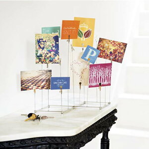 UmbratHgfBXvC }`ʐ^ 15Nbv Nickel Founder͂!