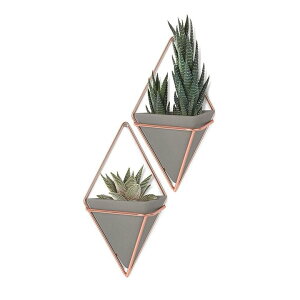 Umbra Trigg Hanging Planter Vase Geometric Wall Decor Container Founder�����͂�!
