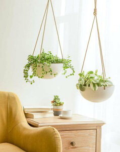 2ZbgnMOv^[ Z~bN Aؔ White Founder͂!