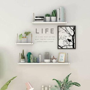 t[eBOVFt EH[VFt I 3Zbg Founder͂!