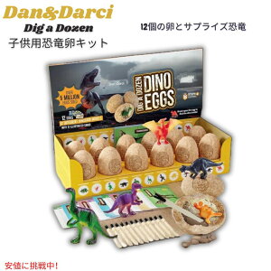 Dan&Darci ̂܂@Lbg ̂܂12 ̂ TCGXESTEM̌ Dig a Dozen Dino Egg Kit for Kids