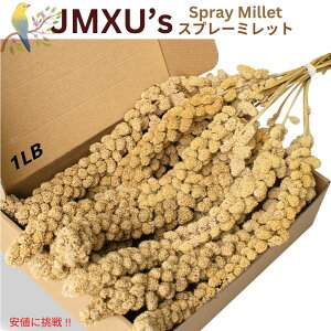 JMXUs p  454g Xv[~bg V  nX^[  a  Spray Millet Treat for Birds 16oz