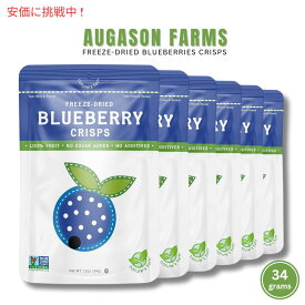 6袋セット Nature's Turn ネイチャーズターン フリーズドライ ブルーベリー 34g 砂糖不使用 乾燥ブルーベリー Freeze Dried Blueberry Crisps