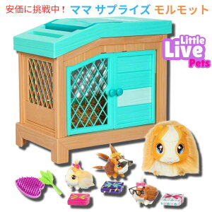 gCuybg }} TvCY bg Little Live Pets Mama Surprise Guinea Pig