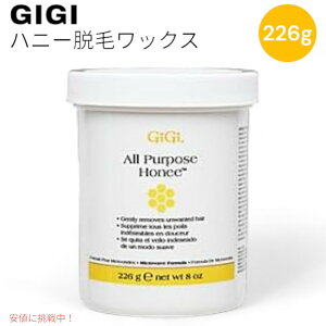 GIGI �I�[���p�[�p�X �n�j�[���b�N�X �}�C�N���E�F�[�u All Purpose Honee Microwave �d�q�����W �S�g�p���b�N�X