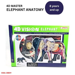 4DrW ]EU͌^ 4D Vision Elephant Anatomy Model