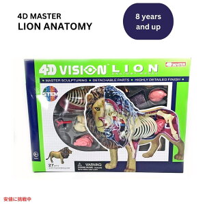 4DrW CI U͌^ Uf 4D Vision Lion Anatomy Model