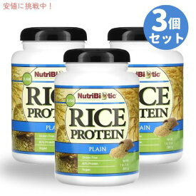 【3個セット】NutriBiotic ニュートリバイオティック 生ライスプロテイン パウダータイプ 600g [プレーン] アメリカ発 Raw Rice Protein Plain 1 lb. 5oz