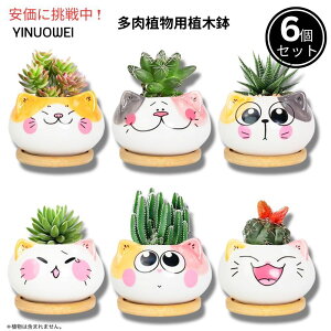Yinuowei L^ Ap~j 9.1cm 6Zbg r |gCt î݁j Mini Cat Succulent Pots with Bamboo Tray 3.6 Inch set of 6