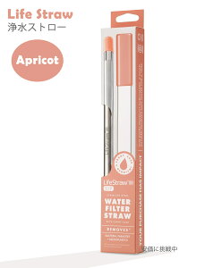 ���C�t�X�g���[ LifeStraw �ė��p�\ �X�e�����X�� �򐅃X�g���[ �A�v���R�b�g�F Reusable Stainless Steel Water Filter Drinking Straw