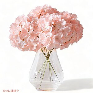 Kislohum  AWTC̉ ubVwbh 10 tFCNAWTC st