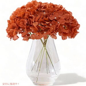 Kislohum IWF̐lHAWTC VNt[ st 10pbN