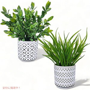 Winlyn 2Zbg lHA A [JA lH _ȃRN[gAؔ O