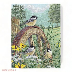Janlynn 008-0203 Meadow's Edge Counted Cross Stitch KitA11 x 14