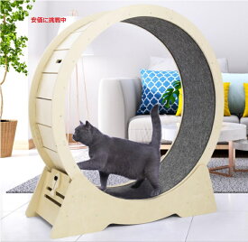 猫用エクササイズホイール Cat Exercise Wheel 室内猫のフィットネス