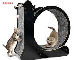 多機能付き 猫用エクササイズホイール 2 in 1 Cat Exercise Wheel 室内猫の運動グッズ