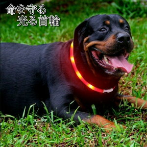 犬 チョーカー おしゃれ ペットの通販 価格比較 価格 Com