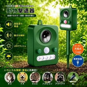 �L�悯 �����g �t���b�V�����C�g ���̓^�C�v �\�[���[ �� �������ފ� �L���� �L�΍� �L�ގ��@�L�悯�O�b�Y �J���X�悯 �L���ރZ���T�[ �� �\�[���[�[�d�@�Q�b���� ��ǔL ���A�΍� ���b�΍�