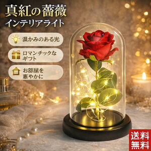 �K�N �C���e���A �o�� ���� �ϗt�A�� ������� �A�����W �u�[�P ���� �΂� �Ԃт� ���C�g LED �͂�Ȃ��K�N ���[�Y �C���e���A���C�g �������� �o���̑��� �N���X�}�X �K�N�G�� �o���̉� �o��