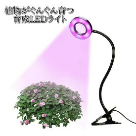 植物 ライト LED クリップ式 USB充電 観葉植物 多肉植物　おしゃれ インテリア 育成 成長促進 ランプ 光合成 日光 光 家庭菜園 日照不足 解消 水耕栽培 水草栽培 室内栽培 プランター 壁掛け 小型 室内 スタンド 卓上 棚 お祝い ギフト プレゼント 送料無料