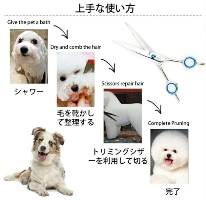 楽天市場 トリミングシザー トリミング ハサミ 6点セット ペット 猫 犬 お手入れ用品 足裏 顔 全身カット初心者 鋏 スキバサミ くし コーム 安全 カーブハサミ カーブシザー セニングセザー 自宅 セルフ カット ペット用 グルーミング シザー トリマー 家庭用 送料無料