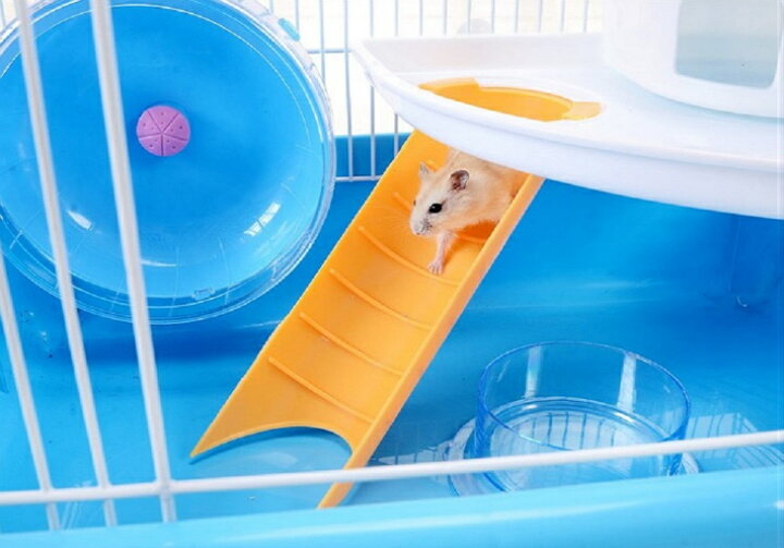 楽天市場】ハムスター ケージ 広い おしゃれ 2階建て プラスチック ハウス 小屋 籠 かご 飼育 スターターキット ハムスターケージ 小動物 ゴールデン ジャンガリアン リス フェレット ハリネズミ 大きい 大型 持ち運び 掃除しやすい 中が見える 通気 ペット用遊び場 ... 楽天市場】ハムスター ケージ 広い おしゃれ 2階建て プラスチック ハウス 小屋 籠 かご 飼育 スターターキット ハムスターケージ 小動物 ゴールデン ジャンガリアン リス フェレット ハリネズミ 大きい 大型 持ち運び 掃除しやすい 中が見える 通気 ペット用遊び場 ...