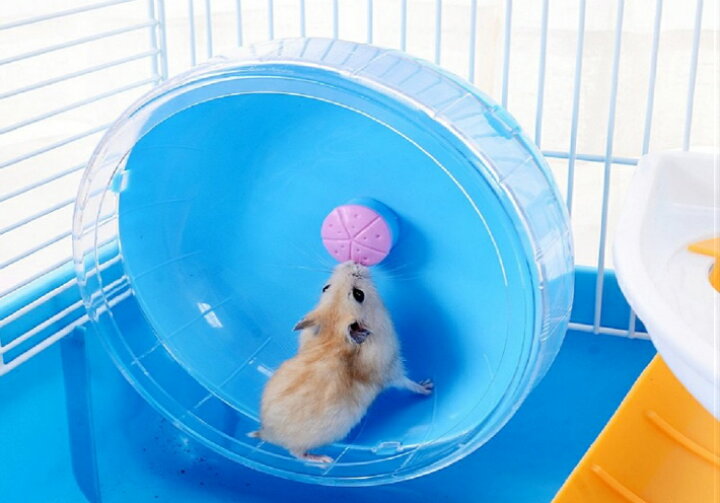 楽天市場 ハムスター ケージ 広い おしゃれ 2階建て プラスチック ハウス 小屋 籠 かご 飼育 スターターキット ハムスターケージ 小動物 ゴールデン ジャンガリアン リス フェレット ハリネズミ 大きい 大型 持ち運び 掃除しやすい 中が見える 通気 ペット用遊び場