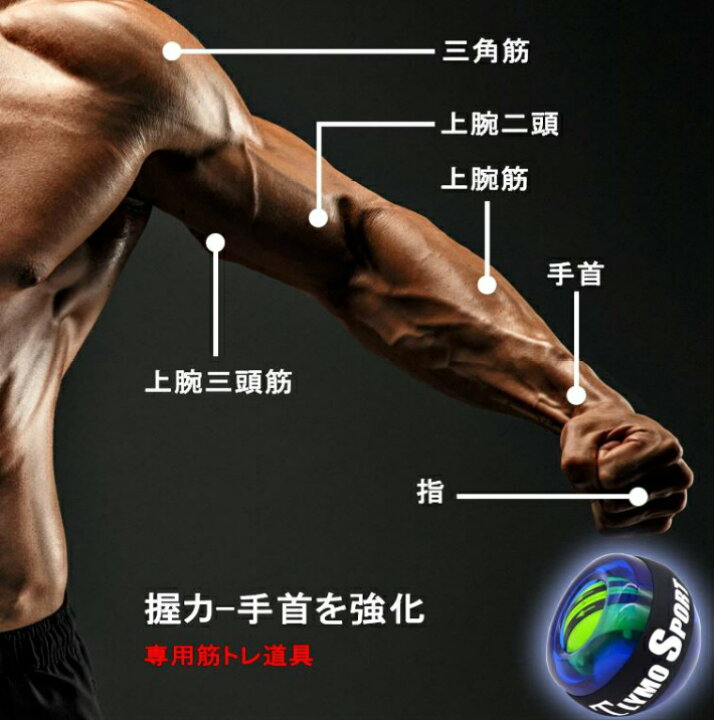 楽天市場 パワーグリップ 筋トレ グッズ オートスタート 静音 プロ スナップボール 握力ボール トレーニング 器具 ハンドグリップ 腕 前腕 手首 握力強化 自宅トレ ダイエット 筋トレ器具 自宅 ピアノ 調整 プロ 男性 女性 こども 高齢者 ギフト プレゼント 誕生日