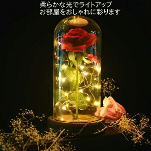 KN CeA o  ϗtA  AW u[P  ΂ Ԃт Cg LED ͂ȂKN [Y CeACg  ȏ NX}X KNG ỏ o