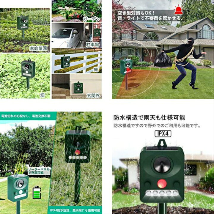 イラスト検索 イラストレーターズ通信 作品別検索キーワード情報一覧 面白い庭の看板屋外黒猫シルエットハロウィーンの装飾怖い Ecologi In