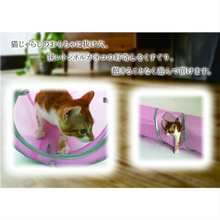 猫 おもちゃ トンネル 長い キャットトンネル 超ロング 1.2m ねこ 玩具 折り畳み 猫のおもちゃ 猫じゃらし ペット用品 ペット キャット カシャカシャ 人気 安全 ボール付き 鈴 ストレス解消 運動不足解消 犬 ネズミ 魚 隠れ家 トンネル玩具 キャットおもちゃ ... 猫 おもちゃ トンネル 長い キャットトンネル 超ロング 1.2m ねこ 玩具 折り畳み 猫のおもちゃ 猫じゃらし ペット用品 ペット キャット カシャカシャ 人気 安全 ボール付き 鈴 ストレス解消 運動不足解消 犬 ネズミ 魚 隠れ家 トンネル玩具 キャットおもちゃ ...