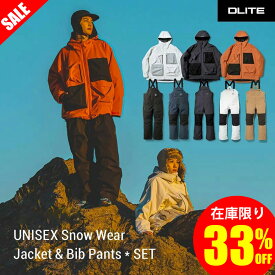 《FINAL SALE 33%OFF》スノーボードウェア スキーウェア ユニセックス 上下セット スノボウェア DLITE 2024-2025モデル スノーボード ウェア スノボ ボード ウエア セット スノーボードパンツ メンズ レディース FS-BK230510
