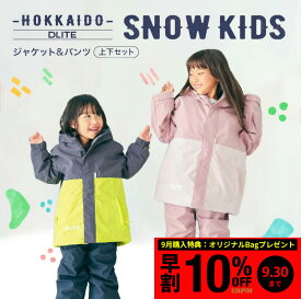 【9月購入特典つき】スキーウェア キッズ キッズ スノーボードウェア スノーウェア キッズスノーウェア スノーウエア スノボウェア ジュニアスキーウェア 子供用スキーウェア 上下セット 110cm 120cm 130cm 140cm 北海道 DLITE 43degrees