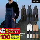 スノーボードウェア パンツ ビブパンツ ビブパン つなぎ ツナギ スキーウェア スノボウェア スノーウェア スノーボード ウェア スノボ ウエア スノーボードパンツ 大きいサイズ 黒 白 ネイビー DLITE