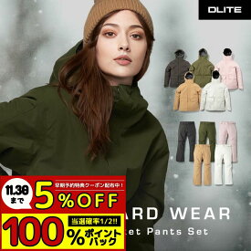 スノーボードウェア 上下セット スキーウェア スノボウェア スノーウェア スノーボード ウェア スノボ ボード スキー ウエア セットレディース 北海道 札幌 送料無料 DLITE ディライト