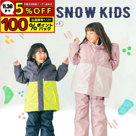 スキーウェア キッズ キッズ スノーボードウェア スノーウェア キッズスノーウェア スノーウエア スノボウェア ジュニアスキーウェア 子供用スキーウェア 上下セット 110cm 120cm 130cm 140cm 北海道 DLITE 43degrees