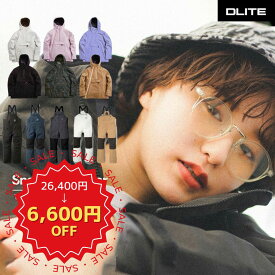 《年末年始価格19,800円》 スノーボード ウェア レディース 上下セット スキーウェア スノボウェア スノーウェア スノーボード ウェア スノボ ボード スキー ウエア セット ビブパンツ レディース ユニセックス 北海道 札幌 送料無料 DLITE