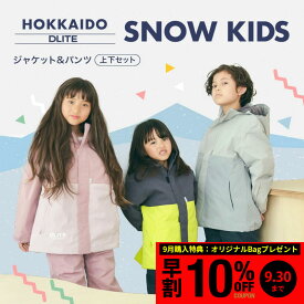 【9月購入特典つき】スキーウェア キッズ ジュニア スノーボードウェア スノーウェア キッズスノーウェア スノーウェア スノボウェア ジュニアスキーウェア 子供用スキーウェア 上下セット 110cm 120cm 130cm 140cm 北海道 札幌 送料無料 DLITE
