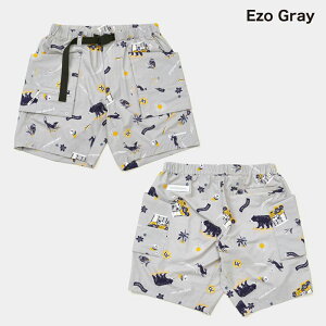 StEFA fB[X ZbgAbv pc jZbNX n[tpc V[gpc   Xgb` t  St 傫 unitement iCgg FS-UM026