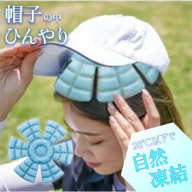 【熱中症対策】に！帽子の中をクールダウン スマートecoアイス ヘッドクーラー 28℃以下で 自然凍結 ほどよくひんやり 冷却シート 頭 冷却 グッズ 電気不要 冷凍不要 結露がつきにくい 帽子 ヘルメット 子供 熱中症予防 軽量 コンパクト 長時間 エコ ヘッドクール
