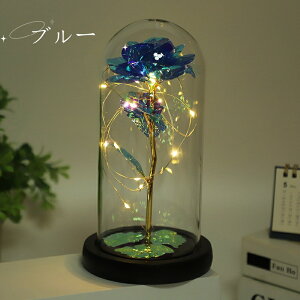 ͂Ȃ o LEDCg dr 24KS[h[Y KN ԑ t[Cg t[Mtg o^Cf[ J[ u[ bh a ̓ LO NX}X j v