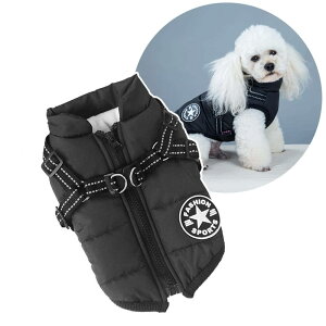 WPbg m ~ {A  WPbg p[J[ Ȃ hbOEFA   AE^[ wt@Xi[̃hbOEFA g ̕  ybgpi H ~ h hWPbg g