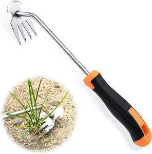 2023ǌ^ 蓮c[ c[ pc[  蓮@ ̍c[ ̑c[ Gc[ |pi nhtH[N ̏c[  ~ 