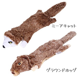 ނ ̏o錢p  XgX ʔ C^NeBu ނ ybgpimߋ ^sy Pߋ 邨 o ʂ