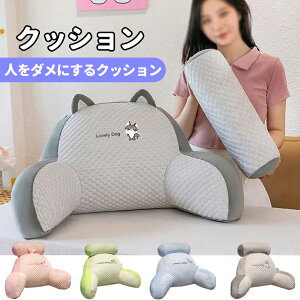 r[YNbV 􂦂 Jo[ xxbgn }CNr[Y \t@ ֎q NbV