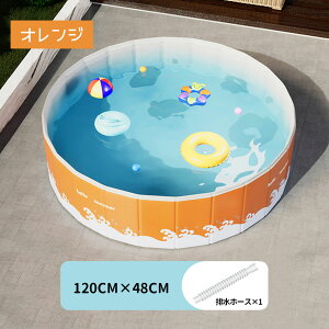 qpv[ ƒpv[ Csv v[ ܂肽ݎ gsv ~` 120*48cm [֗ iPVCf Lr V c LbY ΍   O BB-03