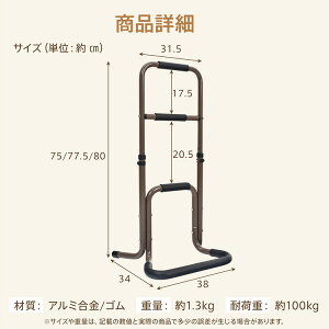 ⏕肷 オ⏕ 3iK ω׏d100kg ^̋r 芴Q ₷ NbVt A~ ]|h~  gC xbhTCh in028