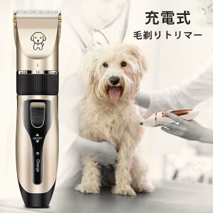 yzybgpi ybg oJ  L oJ ᑛ U x ؂ꖡ-Q [dR[hX ђ g}[ VF[o[ p \ EEEK ybge 